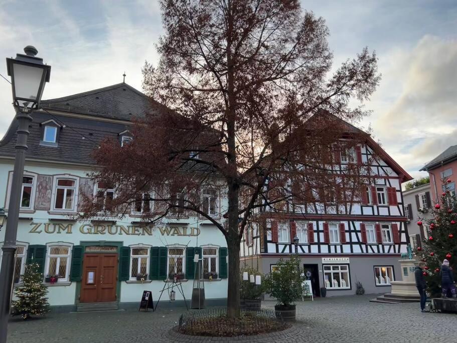 Skyline Appartement Mit Pool And Netflix Kronberg im Taunus Dış mekan fotoğraf